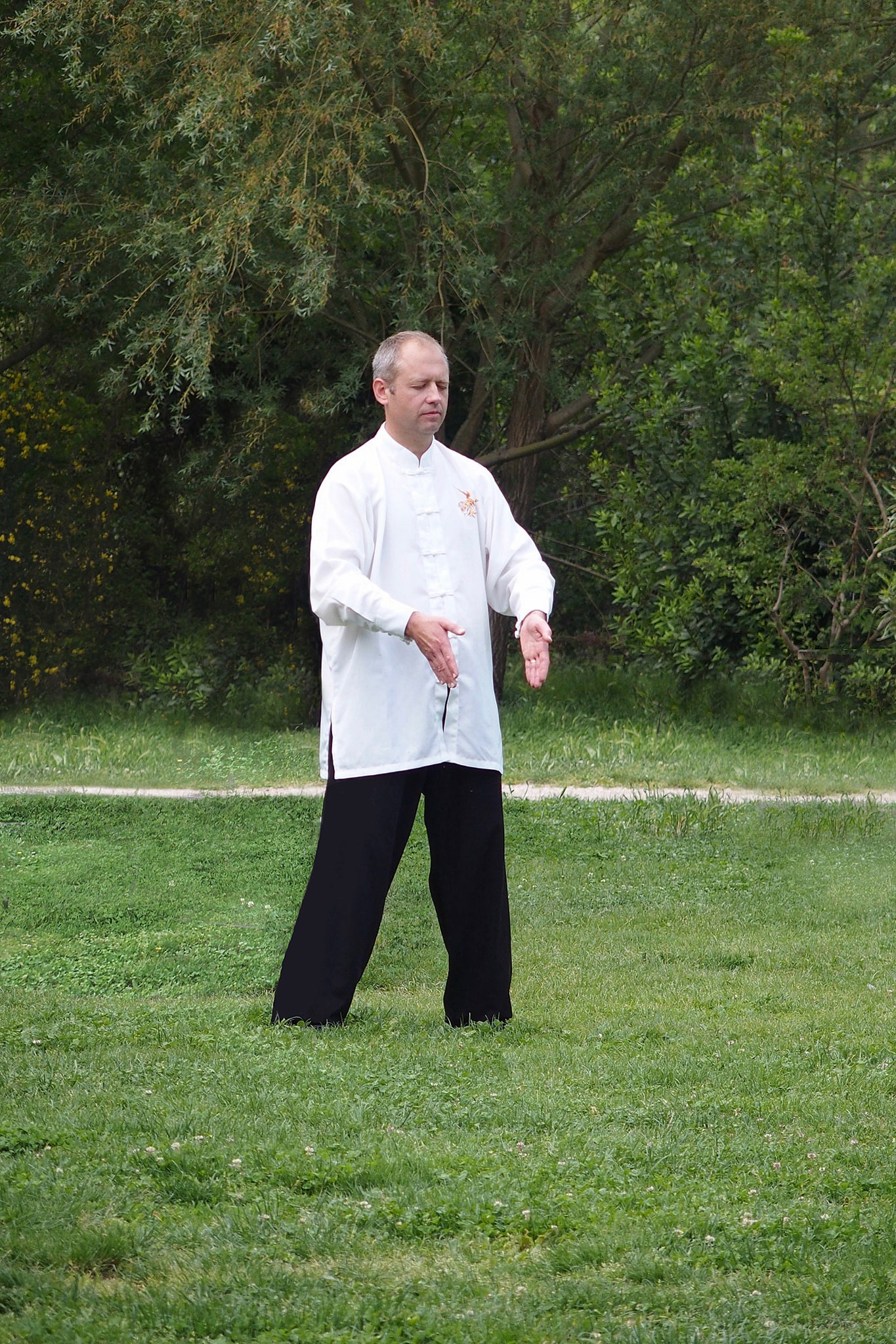 Qi Gong